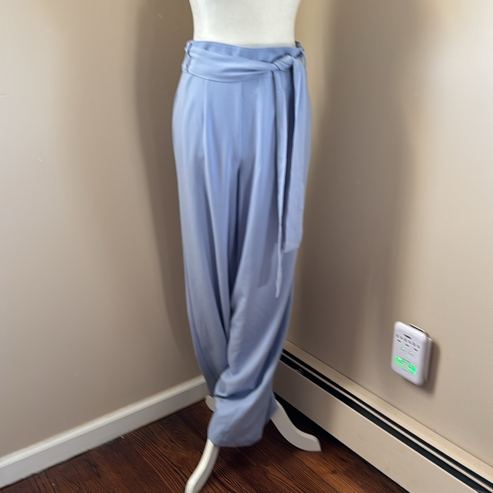 NWT Wide Leg Light Blue Pants
